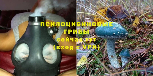 спиды Россошь