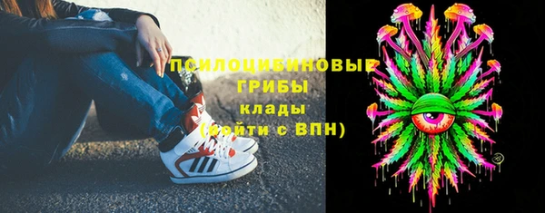 бошки Протвино
